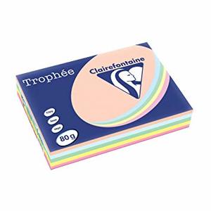 RAMETTE 250F A4 80g ASSORTIES MIXTE PASTEL - INTENSE