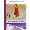 UN MONDE A LIRE CE1 - SERIE BLEUE - ALBUM 3 : LE BEBE DE CRISTAL