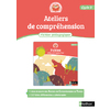 LES PETITS ROBINSON DE LA LECTURE - FICHIER PEDAGOGIQUE 3 - LES FABLE