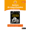 LES PETITS ROBINSON DE LA LECTURE - FICHIER PEDAGOGIQUE 4 - LE SECRET