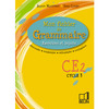 MON FICHIER DE GRAMMAIRE - GRAMMAIRE - VOCABULAIRE - ORTHOGRAPHE - CO