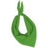 6 FOULARDS TRIANGULAIRES VERT