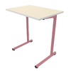 TABLE S2 1 PERSONNE 50*70 T5 ROSE ANGLAIS - PLATEAU SERINGA - CHANT A