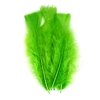 PLUMES VERTES PAQUET DE 25GR