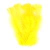 PLUMES JAUNES PAQUET DE 25GR