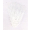 PLUMES BLANCHES PQT 25GR