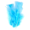 PLUMES BLEUES PAQUET DE 25GR