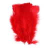 PLUMES ROUGES PAQUET DE 25GR