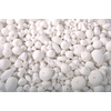 PACK CELLULOSE 900 PIÈCES
