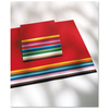250F CARTOLINE 300G 21X29,7CM ASSORTIES