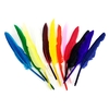 PACK PLUMES D'INDIENS - 12 PCS - 35 CM - 12 COLORIS ASSORTIS
