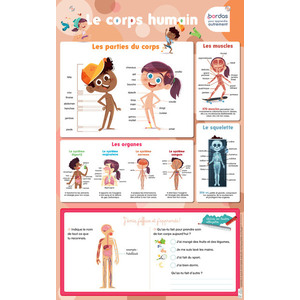 LES POSTERS EFFACABLES - LE CORPS HUMAIN
