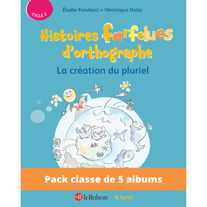 PACK DE 5 EX HISTOIRES FARFELUES D'ORTHOGRAPHE - LA CREATION DU PLURI