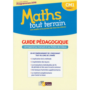 MATHS TOUT TERRAIN CM1 2017 LIVRE DU MAITRE - MANUEL ET FICHIER DE L'
