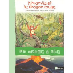 UN MONDE A LIRE CE1 - SERIE BLEUE - ALBUM 1 : KIMAMILA ET LE DRAGON R