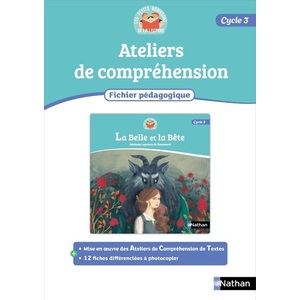 LES PETITS ROBINSON DE LA LECTURE - FICHIER PEDAGOGIQUE 1 - LA BELLE
