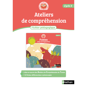 LES PETITS ROBINSON DE LA LECTURE - FICHIER PEDAGOGIQUE 3 - LES FABLE