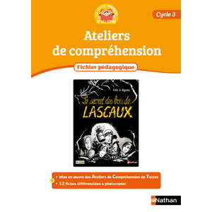 LES PETITS ROBINSON DE LA LECTURE - FICHIER PEDAGOGIQUE 4 - LE SECRET