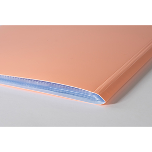 AQUAREL PROTEGE-DOCUMENTS 40 VUES COLORIS PASTELS ASSORTIS