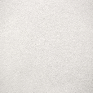 10 BUVARDS 16X21CM COLORIS BLANC