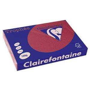 RAMETTE 250F A3 120 GR INTENSE ROUGE