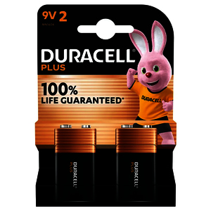 ALCALINE + 100% 2 PILES 9V