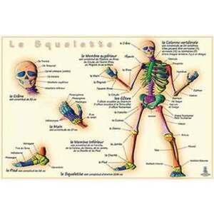 CARTE PLASTIFIÉE LE SQUELETTE - FORMAT 68 X 99 CM