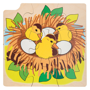 PUZZLE UF/CANARD