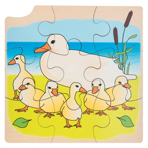 PUZZLE UF/CANARD