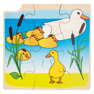 PUZZLE UF/CANARD