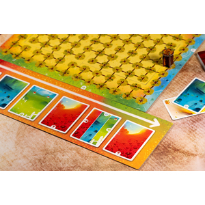 LE CHEMIN DE LA MAISON