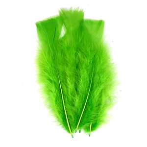 PLUMES VERTES PAQUET DE 25GR