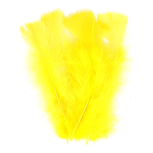 PLUMES JAUNES PAQUET DE 25GR