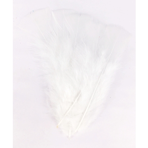 PLUMES BLANCHES PQT 25GR