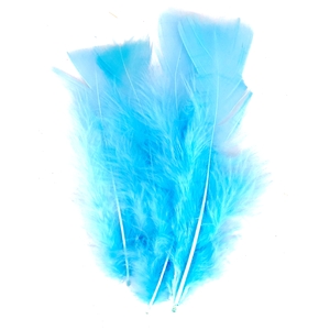 PLUMES BLEUES PAQUET DE 25GR
