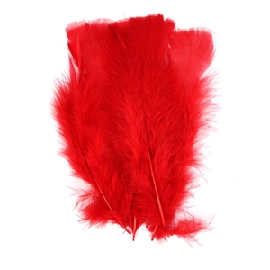 PLUMES ROUGES PAQUET DE 25GR