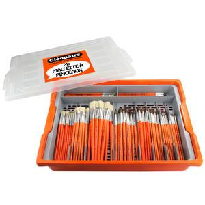 MALLETTE 100 PINCEAUX N°4 A N°20 + BAC DE RANGEMENT AVEC COUVERCLE +