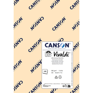 120F IRIS VIVALDI DESSIN LISSE COLORIS CLAIRS ASSORTIS A4 185G