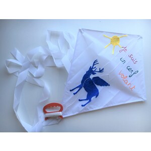 LOT DE 5 CERFS-VOLANTS + CORDES + BATONS.