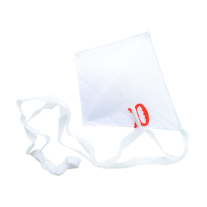 LOT DE 5 CERFS-VOLANTS + CORDES + BATONS.