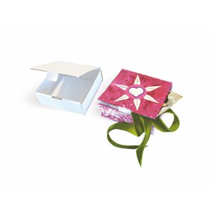 30 BOÎTES À SECRET CARTON