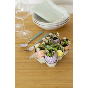 6 UFS CASSÉS CARTON WATERPROOF