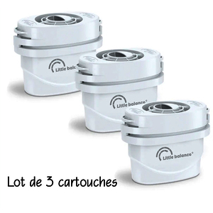 PACK DE 3 CARTOUCHES FILTRANTES 120L CHLORE 100 L CALCAIRE