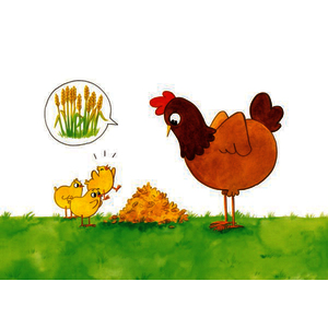 KAMISHIBAÏ  - PETIT POULE ROUSSE