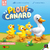 PLOUF CANARD