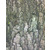 32F PAPIER IMPRIME FEUILLES ET ÉCORCES 22X28CM